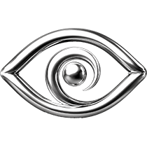 Vision